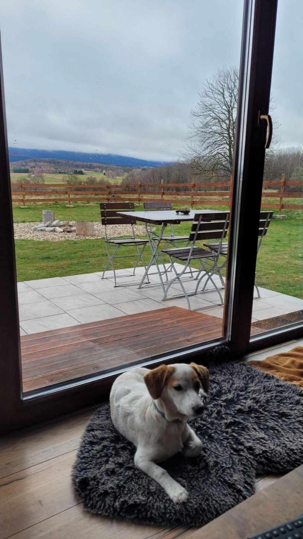 Drewniane Domki Z Prywatnym Jacuzzi I Widokiem Na Gory - Klimatyczny Kompleks W Gorach Izerskich #Widogruszka Grudza Exterior photo